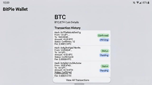 bitpie比特派钱包_比特流币_如何利用比特派钱包app官方下载网址查看资金流动?
